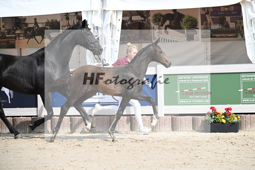 Escaneno x Ganymedes_HF_Amann_12250192 | hf-fotografie - Realisiert mit Pictrs.com