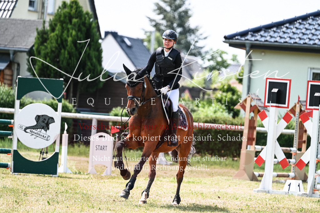 DSC_9473 | Pferde- und Turnierfotografie in Westsachsen. Pferdeportraits, Auftragszeichnungen und intuitive Kunst.