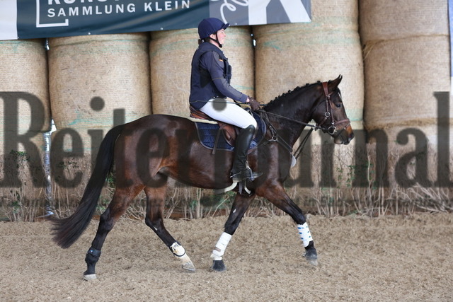 Talentschuppen_Junge VS-Pferde_Nussdorf_2024_KN_03_Susi Sonnenschein S (5) | Alle Fotos der Reiterjournal Fotografin Doris Matthaes im Reiterjournal Online-Fotoshop. - Realisiert mit Pictrs.com