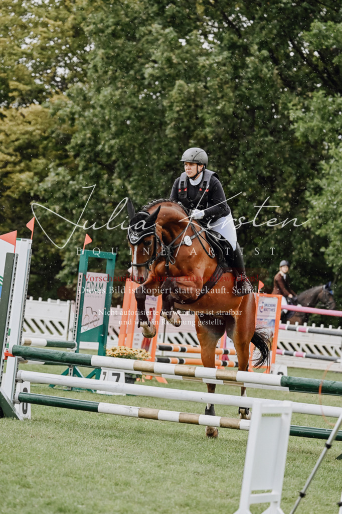 DSC_6909 | Pferde- und Turnierfotografie in Westsachsen. Pferdeportraits, Auftragszeichnungen und intuitive Kunst.