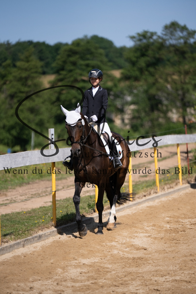 A7V07836 | Pferdefotograf