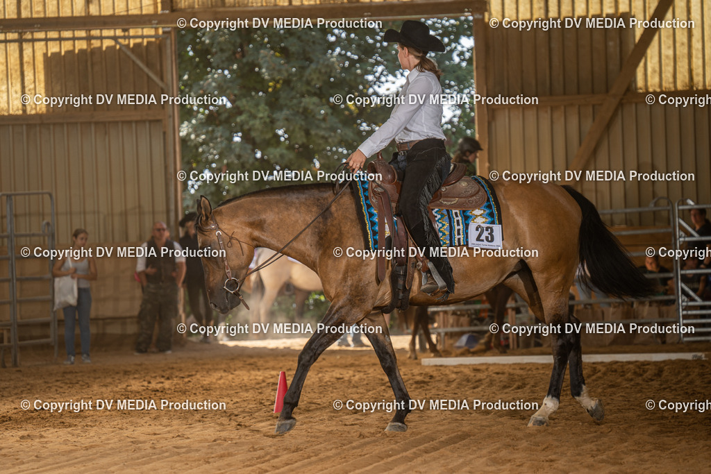 NID03050 | dv-media-shop - Realisiert mit Pictrs.com