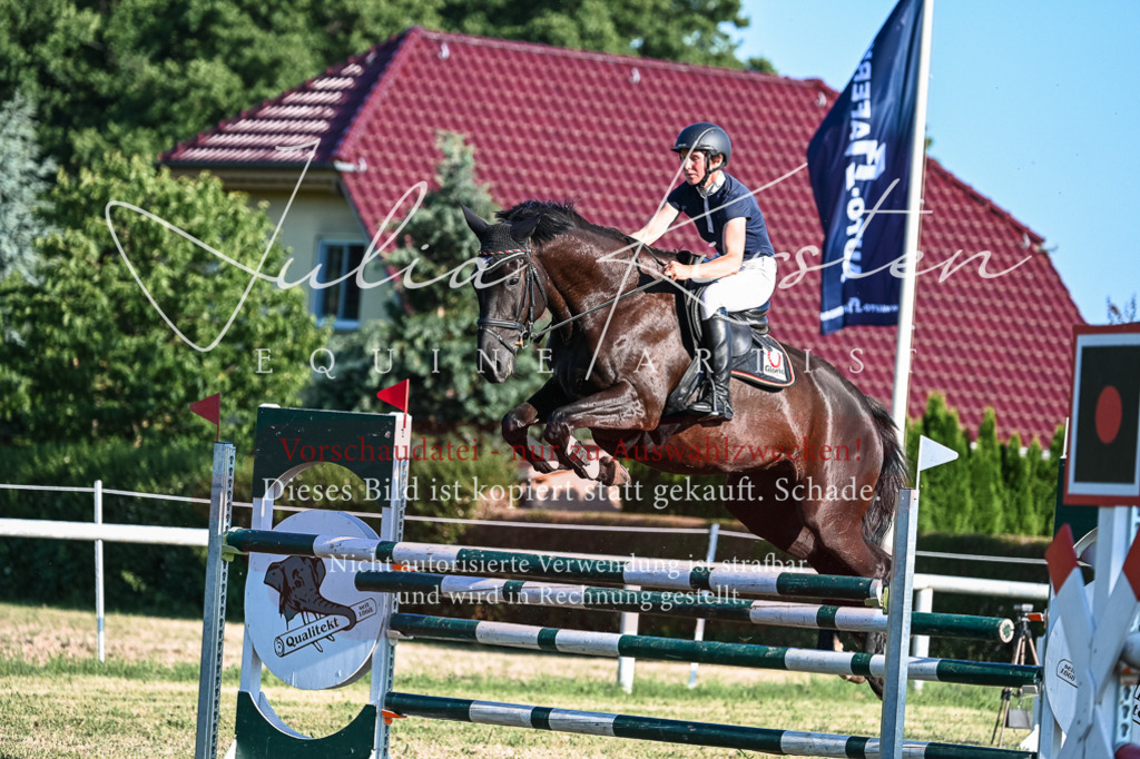 DSC_3076 | Pferde- und Turnierfotografie in Westsachsen. Pferdeportraits, Auftragszeichnungen und intuitive Kunst.