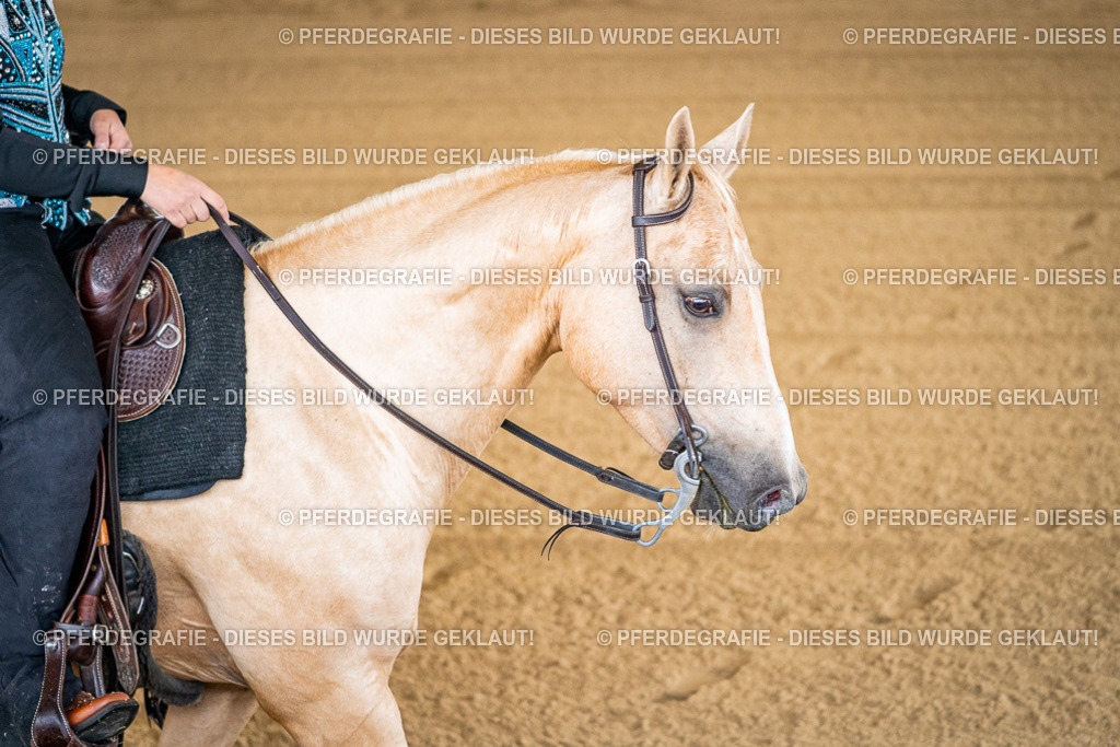 DSC01474 | Pferdegrafie