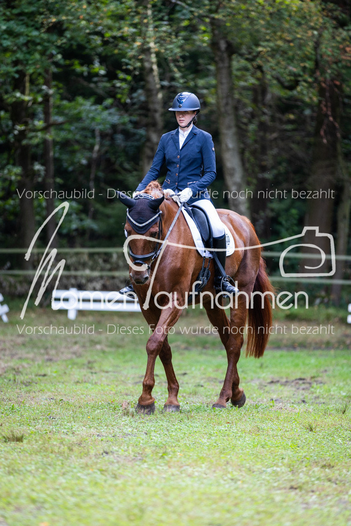 HB-A-Dressur-047 | MomenTaufnahmen Pferdesportfotos