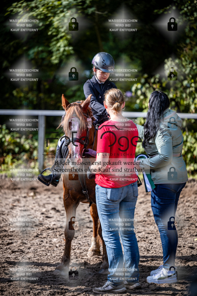 2026-10-Helle-20-4-0059 | Entdecke hochwertige Reitturnierfotos von Foto Oger. Professionell, emotional und authentisch – jetzt Lieblingsmomente im Shop bestellen.Deutschlandweite Turnierfotografie. - Realisiert mit Pictrs.com