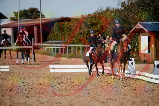 2026_10_03_Siefer-Hof_122045_Z63_43936649 | Professionelle Reitsport-, Turnier- und Eventfotografie von Robert Broda. Galerien mit ausgewählten und bearbeiteten Bildern direkt online ansehen und bestellen.