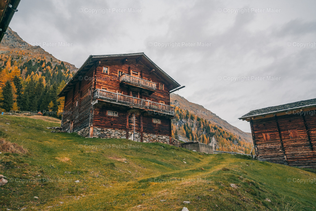 Oberstalleralm_Herbst_2023-555 | piet_flosse