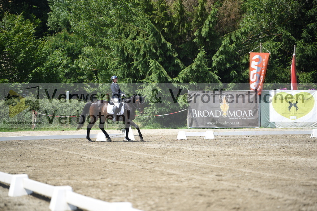 DSC_8911 | equestrian-live-com
