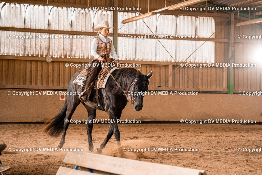 BA300708 | dv-media-shop - Realisiert mit Pictrs.com