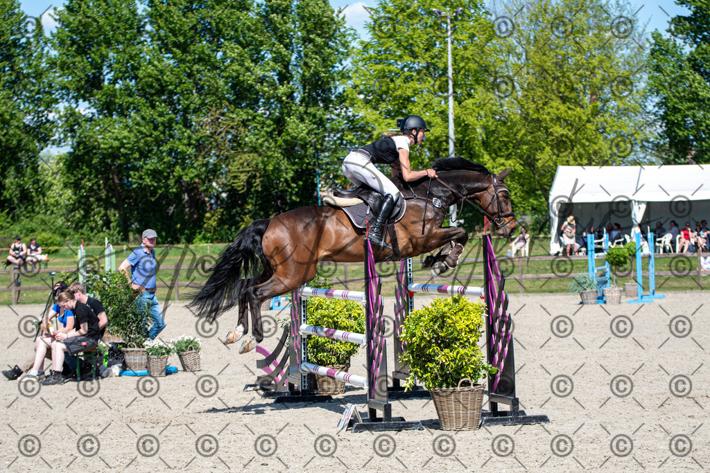 KPT_1352 | andre_photographic