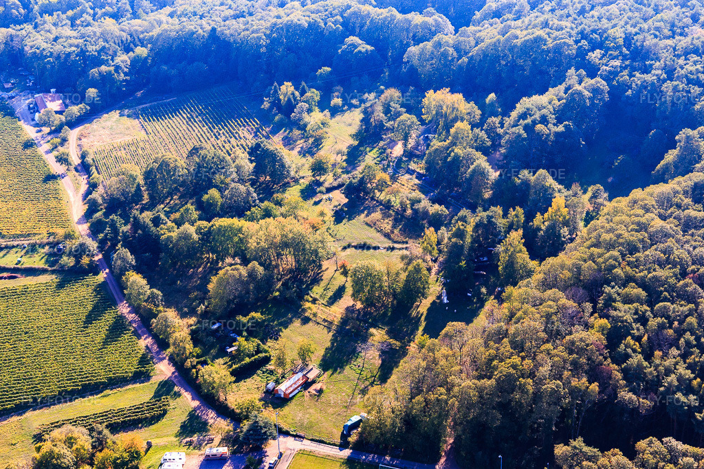 Luftbild: Garten am Waldrand in Dörrenbach im Bundesland Rheinland-Pfalz in Deutschland. Foto: IMG_111882.jpg vom 05.10.2018 durch Werner Riehm/FLY-FOTO.de