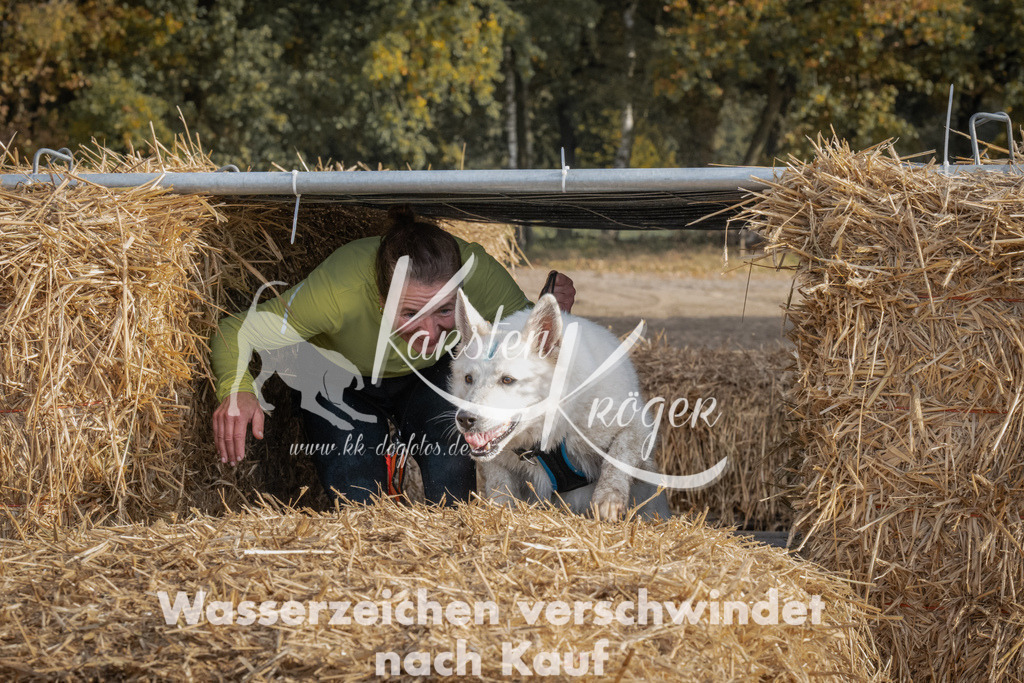 1032_ZZ98709 | kk-dogfotos