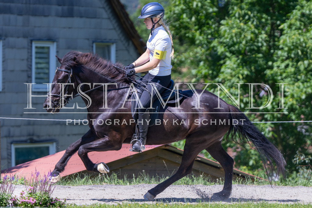 KAI09748 | Ihr sucht einen Fotografen für eure nächste OSI? Ich begleite auch euer Turnier für Islandpferde fotografisch.  - Realisiert mit Pictrs.com