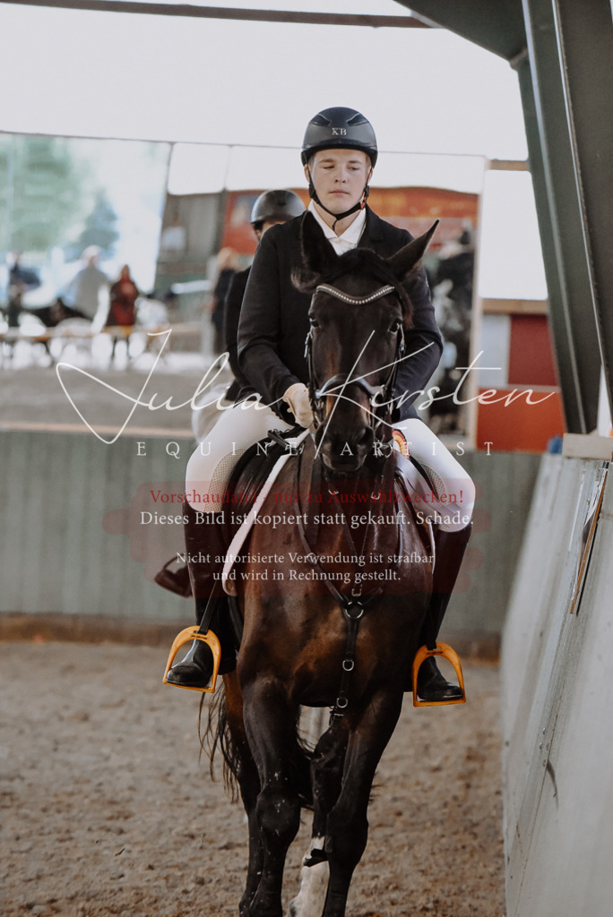 DSC_7516 | Pferde- und Turnierfotografie in Westsachsen. Pferdeportraits, Auftragszeichnungen und intuitive Kunst.