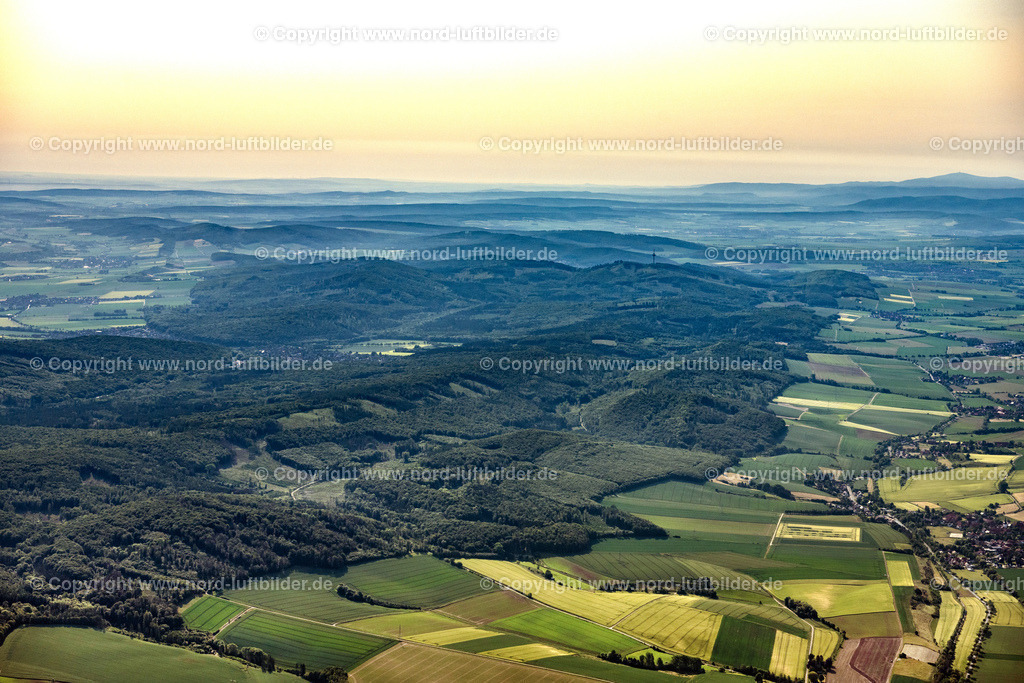 Eitzum_ELS_4337050623 | DESPETAL 05.06.2023 Forstgebiete in einem Waldgebiet in Despetal im Bundesland Niedersachsen, Deutschland. // Forest areas in in Despetal in the state Lower Saxony, Germany. Foto: Martin Elsen
