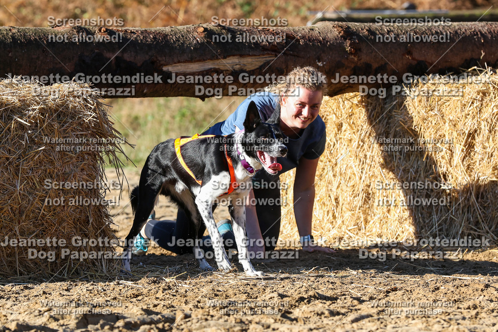 Dog Paparazzi - Strongdog 10-25-1863 | Dog Paparazzi Jeanette Grottendiek Fotografie & Videografie - Realisiert mit Pictrs.com