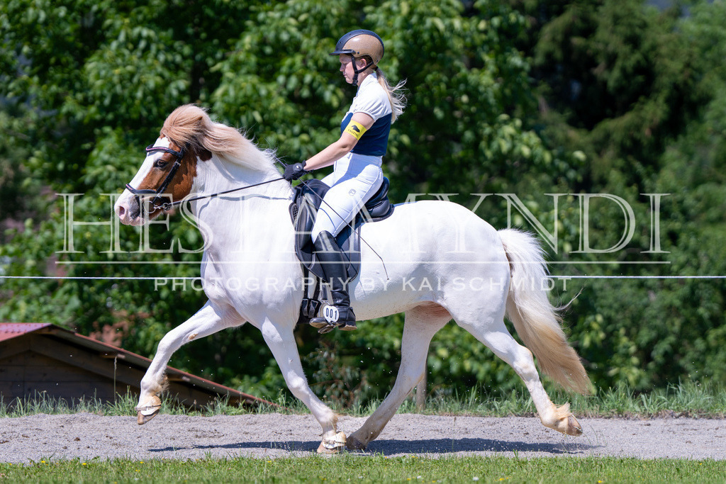 KAI04947 | Ihr sucht einen Fotografen für eure nächste OSI? Ich begleite auch euer Turnier für Islandpferde fotografisch.  - Realisiert mit Pictrs.com