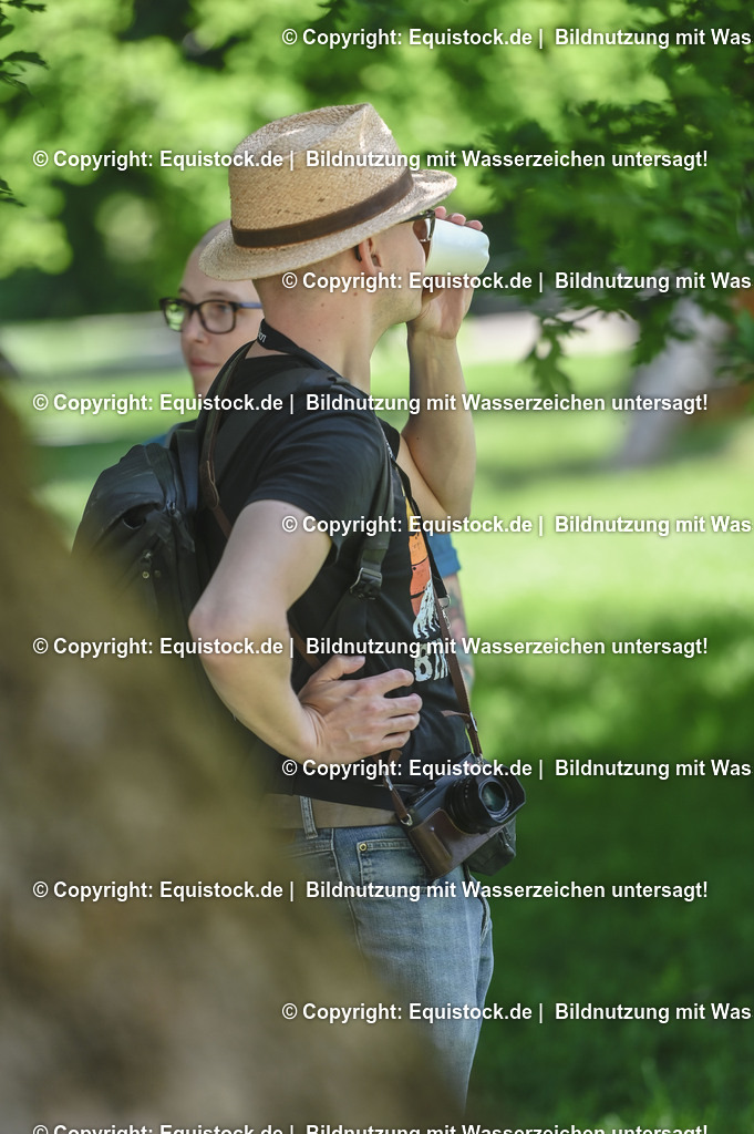 D78_2925 | equistock