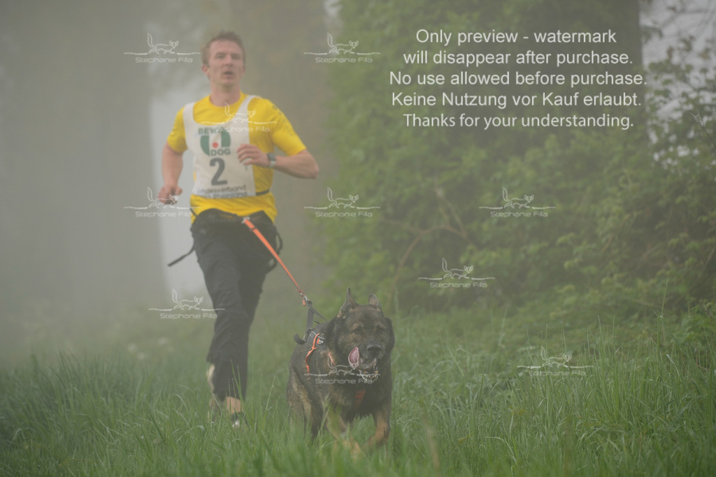 SA_GL2-15 | stephaniefillaphotographie - Realisiert mit Pictrs.com