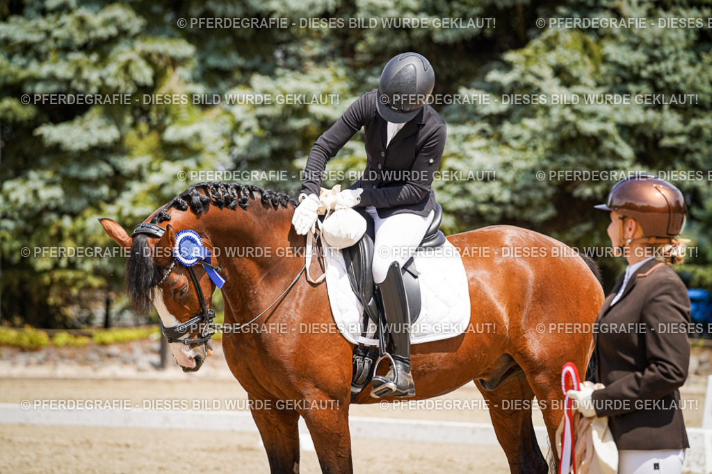 DSC01791 | Pferdegrafie