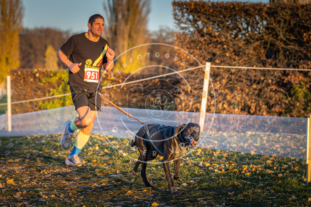 CaniXpix_DV3A5658 | Hundefotografie, Tierfotograf, Pfotenfotografie, Fotoshooting Hund, Hunde Portrait, Hundesport, Hundeportraits, Heideshooting, Hunde, Sportfotograf, Hundefotograf, Turnierhundsport, THS,  - Realisiert mit Pictrs.com