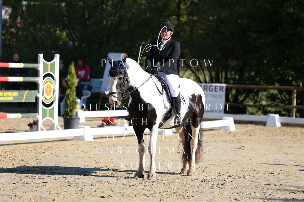 IMGT2750 | pl-fotografie