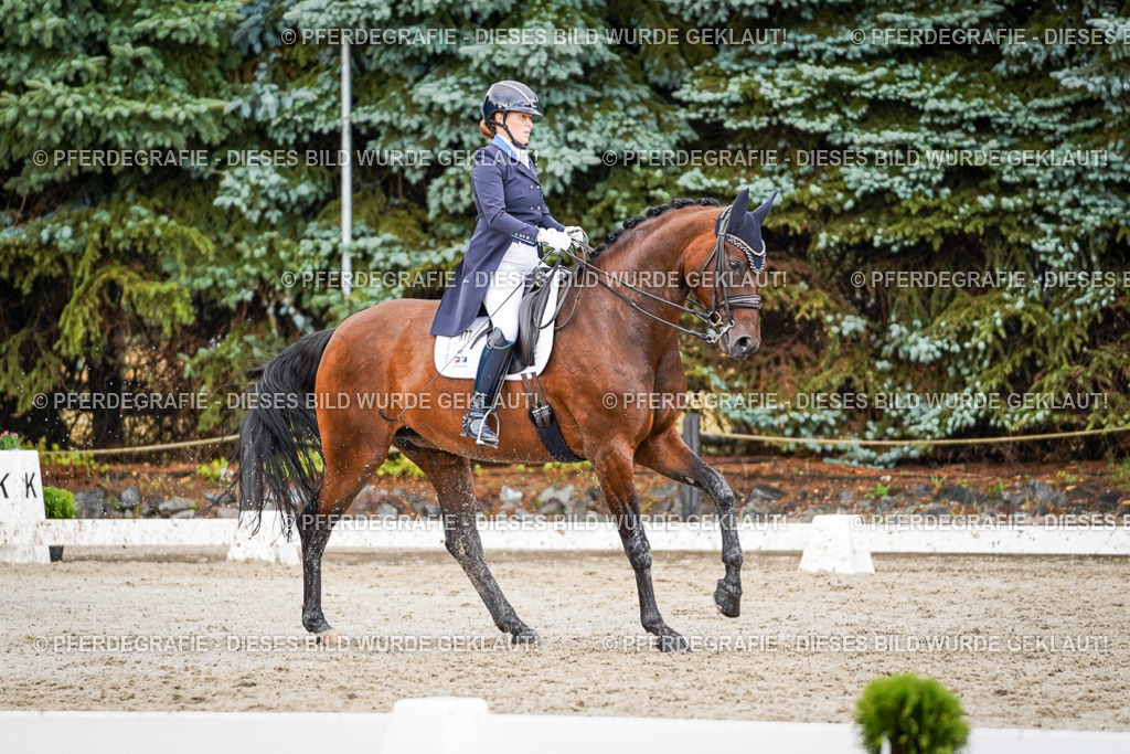 DSC00144 | Pferdegrafie