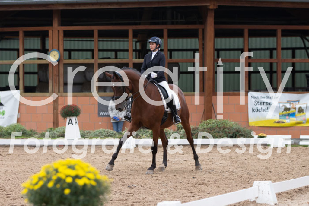 IMG_7712 | Creatify Fotografie