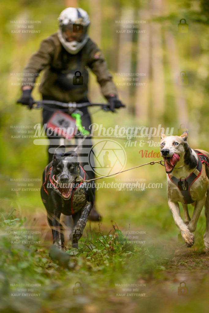 MompixPhotography_Yens2025_B2-56 | PayLife