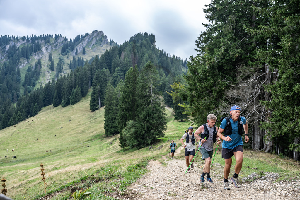 36. Gebirgsmarathon | Immenstadt, 23.08.2025 - 36. Gebirgsmarathon im Naturpark Nagelfluhkette. Einer der anspruchsvollsten​und ältesten Bergläufe​Deutschlands.Foto: Dominik Berchtold/www.dberchtold.com