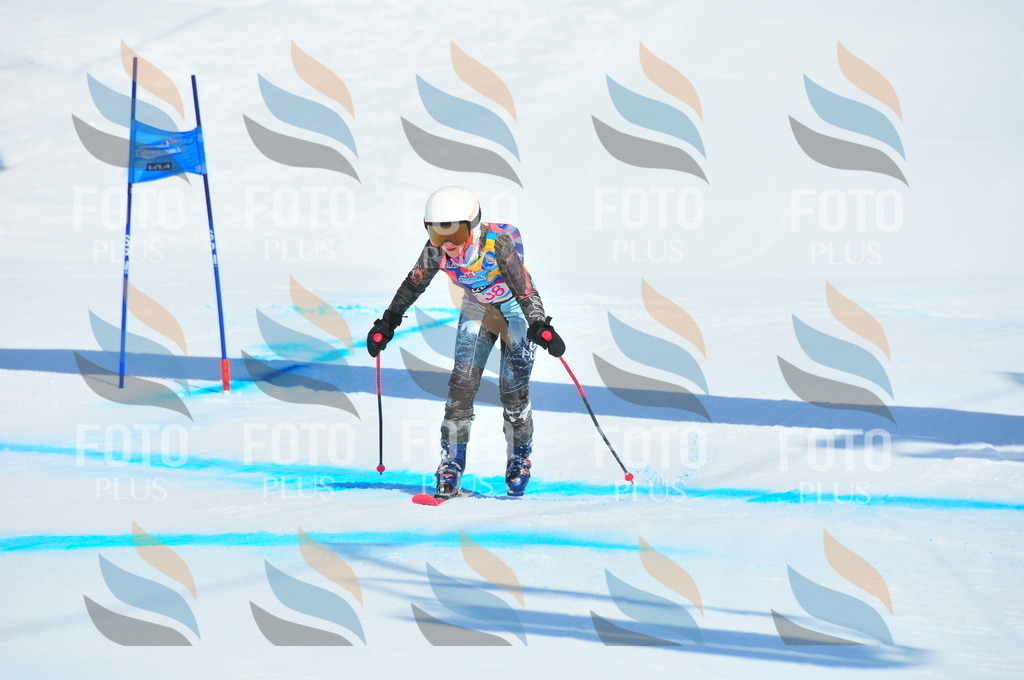 DSC_4942 | holidayphoto