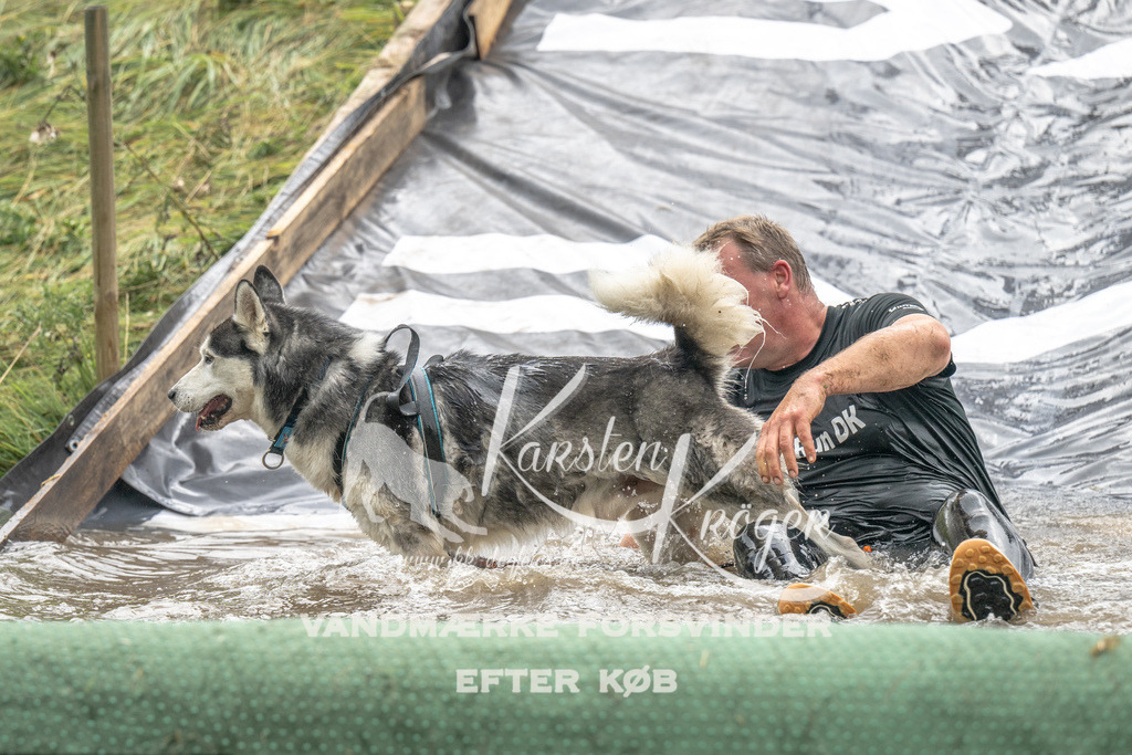 1422_ZZ90193 | kk-dogfotos