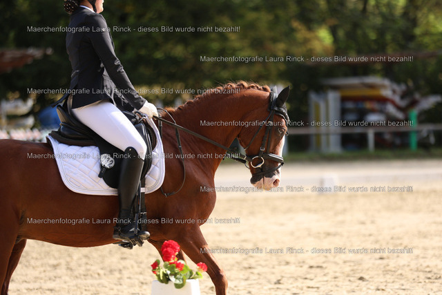 HG9A9793 | laurarinckfotografie - Realisiert mit Pictrs.com