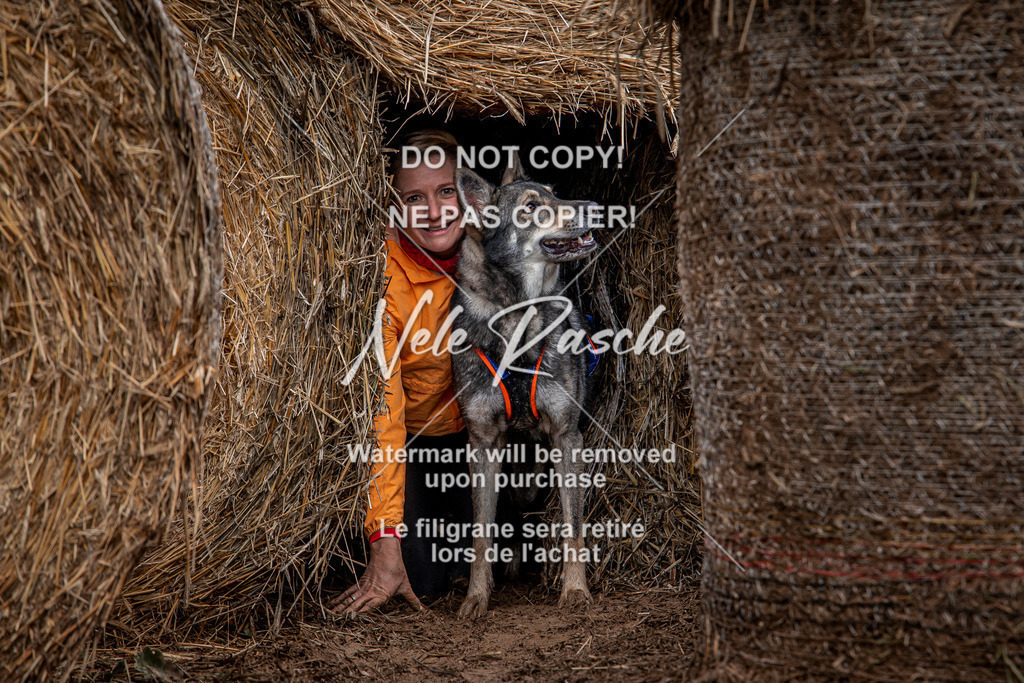 nelerasche_Hunsrück_So11-12_188 | nelerasche