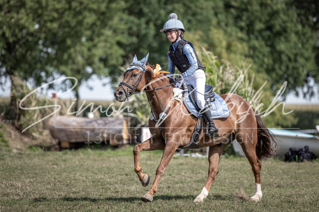 20250907-_3LI0582 | Tierfotografie Pferde, Hunde, Katzen, Haustiere.
Turnierfotografie Reitturniere, Reiten, Springreiten, Dressur in Hanau, dem Main-Kinzig-Kreis und dem Rhein-Main- Gebiet um Frankfurt