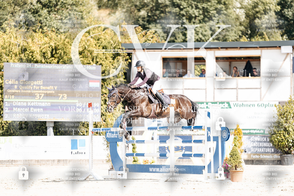 CK908899 | Turnierfotografie Pferdefotografie Trier Rheinland-Pfalz Pferdesport Reitsport Tierfotografie Sportfotografie Pferdevideo Pferdevideografie Equestrianvideography equestrianphotography  - Realisiert mit Pictrs.com