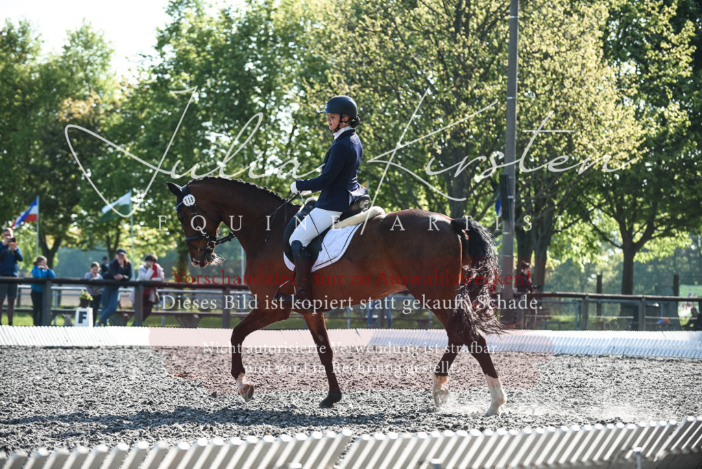 DSC_8541 | Pferde- und Turnierfotografie in Westsachsen. Pferdeportraits, Auftragszeichnungen und intuitive Kunst.