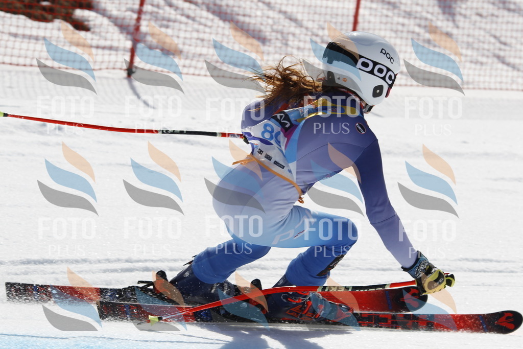 _U3G0145 | holidayphoto