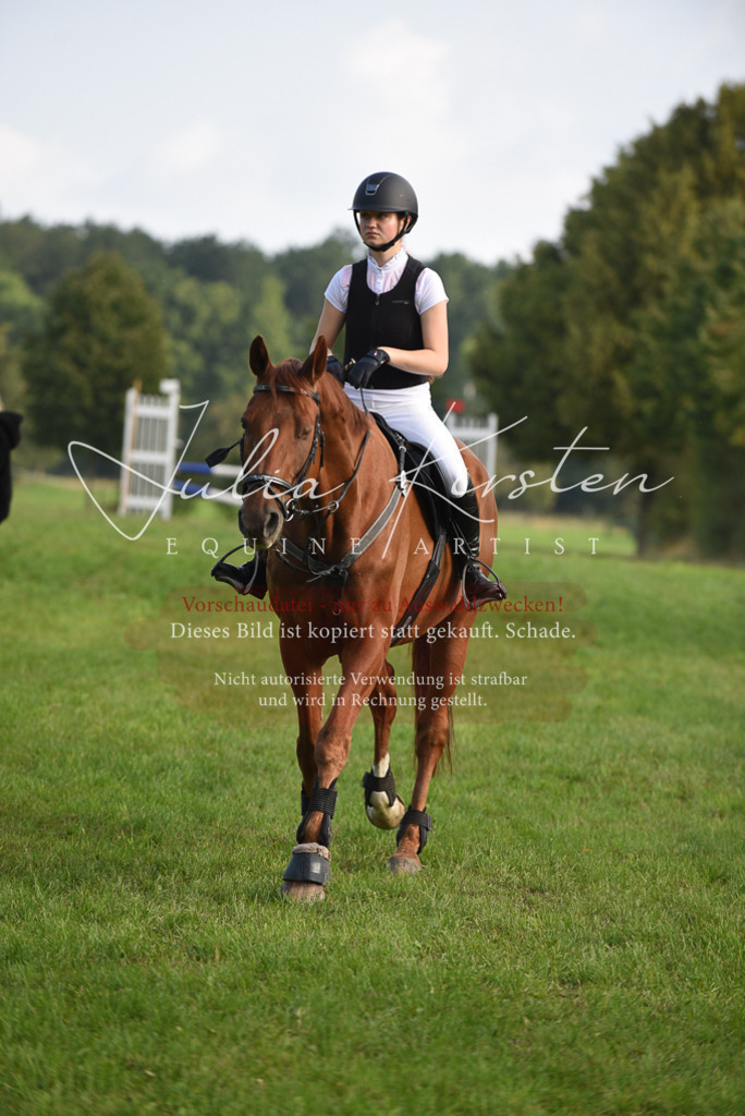 DSC_8548 | Pferde- und Turnierfotografie in Westsachsen. Pferdeportraits, Auftragszeichnungen und intuitive Kunst.