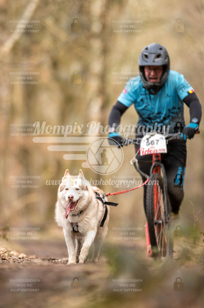 SPA_2023_SAM_Scooter-52 | PayLife
