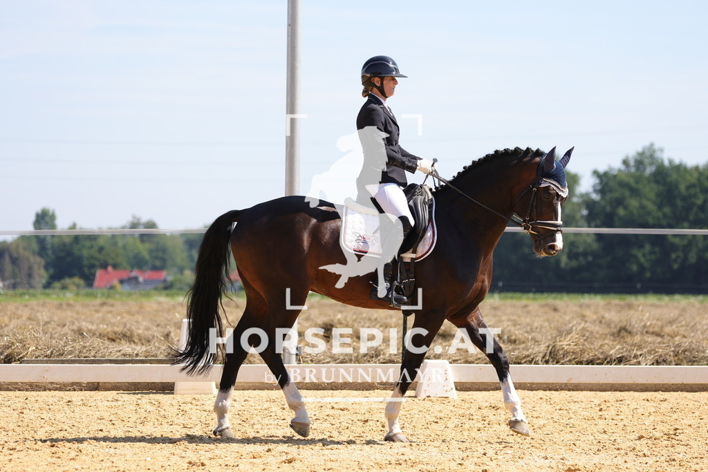 0P6A9636 | Willkommen bei Brunnmayr - Design & Fotografie – Ihrem Spezialisten für Reitturniere und Pferdeveranstaltungen in Oberösterreich, Salzburg und Bayern! Seit über 17 Jahren sind wir leidenschaftlich dabei.
