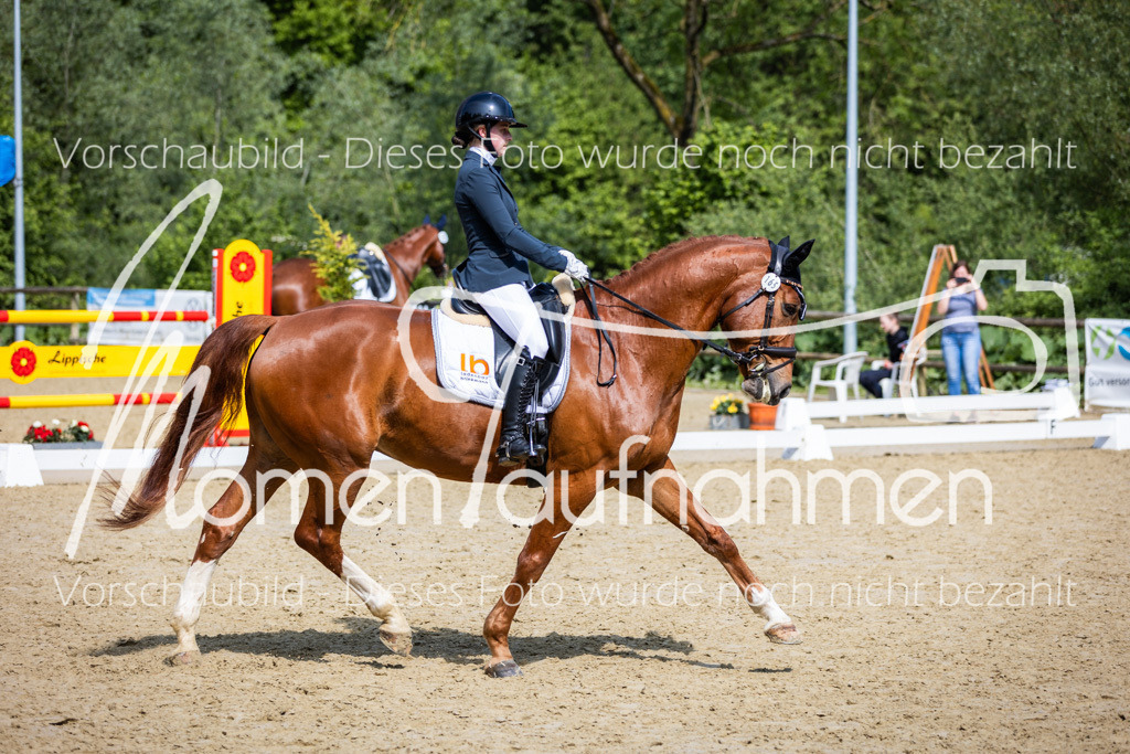 Donop24-L-Dre-017 | MomenTaufnahmen Pferdesportfotos