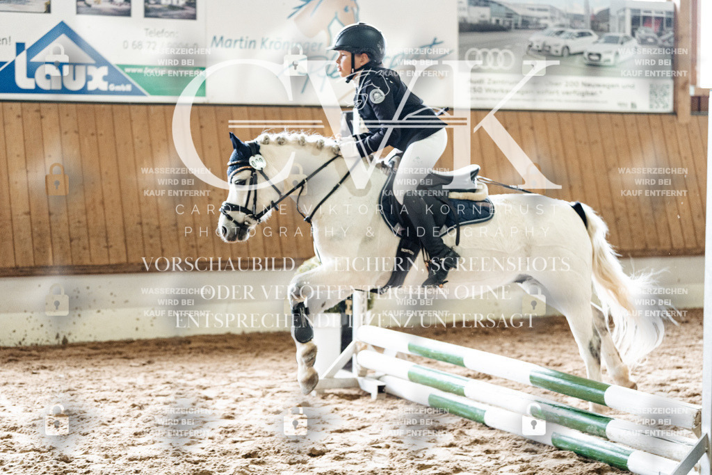 CK902569 | Turnierfotografie Pferdefotografie Trier Rheinland-Pfalz Pferdesport Reitsport Tierfotografie Sportfotografie Pferdevideo Pferdevideografie Equestrianvideography equestrianphotography  - Realisiert mit Pictrs.com
