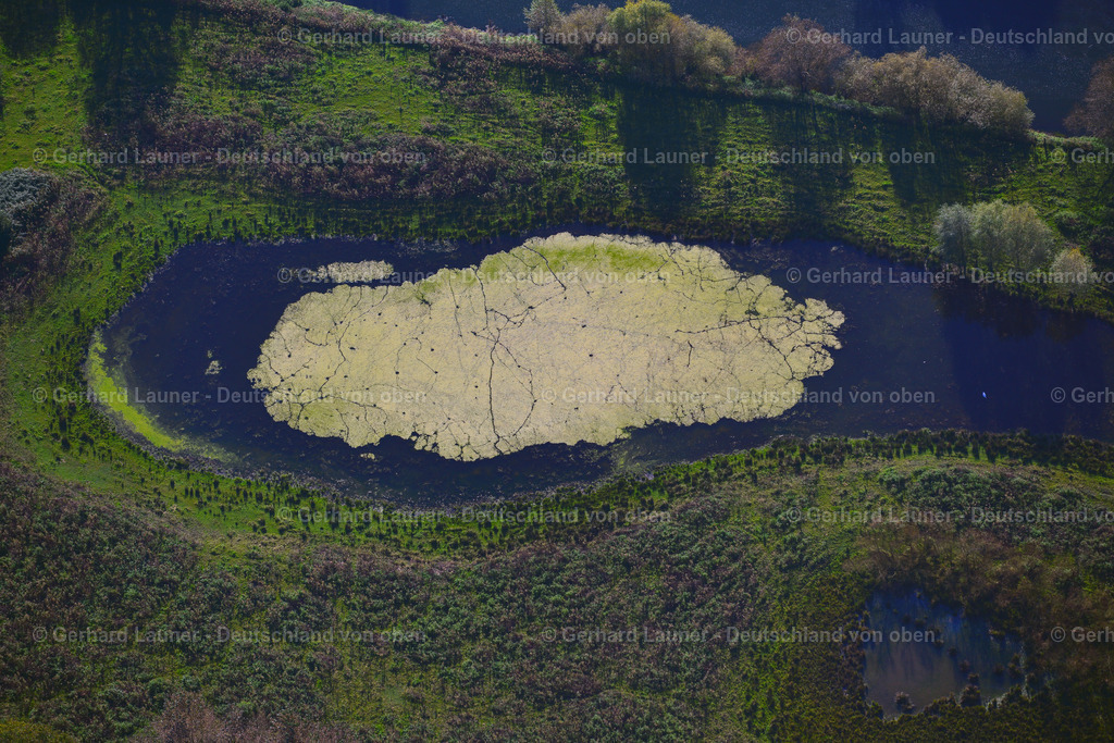 3491393 | Tümpel im Naturschutzgebiet Lippeaue bei Lünen