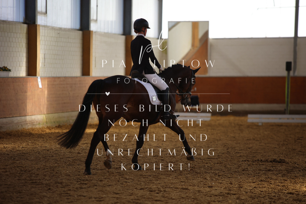 IMGT7722 | pl-fotografie