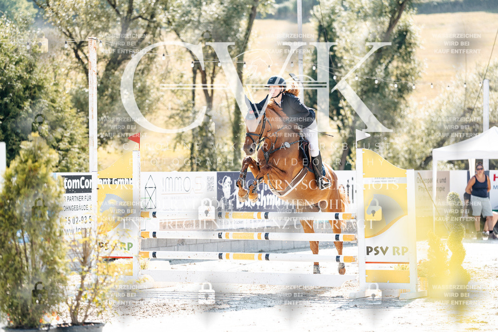 CK907954 | Turnierfotografie Pferdefotografie Trier Rheinland-Pfalz Pferdesport Reitsport Tierfotografie Sportfotografie Pferdevideo Pferdevideografie Equestrianvideography equestrianphotography  - Realisiert mit Pictrs.com