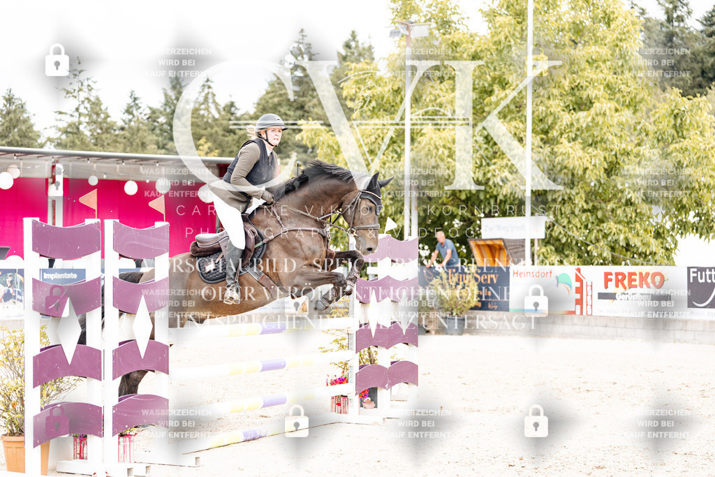 CK909339 | Turnierfotografie Pferdefotografie Trier Rheinland-Pfalz Pferdesport Reitsport Tierfotografie Sportfotografie Pferdevideo Pferdevideografie Equestrianvideography equestrianphotography  - Realisiert mit Pictrs.com