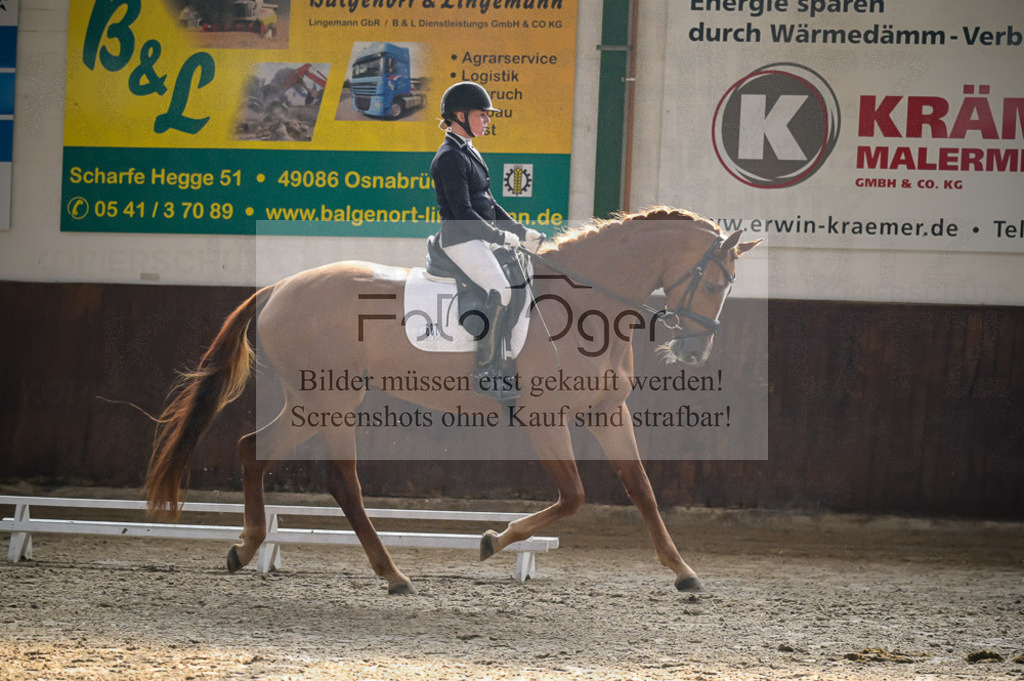 Reitturnier Voxtrup | Entdecke hochwertige Reitturnierfotos von Foto Oger. Professionell, emotional und authentisch – jetzt Lieblingsmomente im Shop bestellen.Deutschlandweite Turnierfotografie. - Realisiert mit Pictrs.com