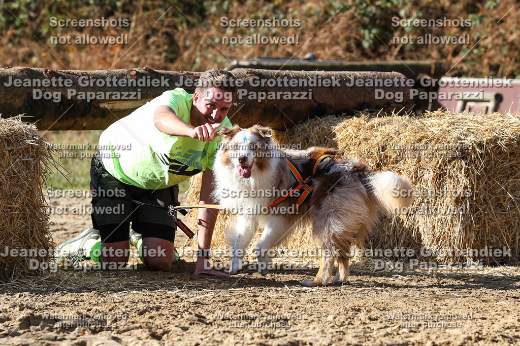 Dog Paparazzi - Strongdog 10-25-4733 | Dog Paparazzi Jeanette Grottendiek Fotografie & Videografie - Realisiert mit Pictrs.com